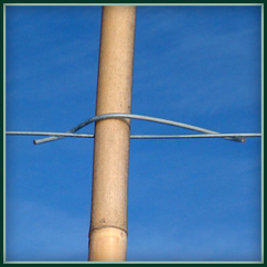 Stabfix Pole Clip